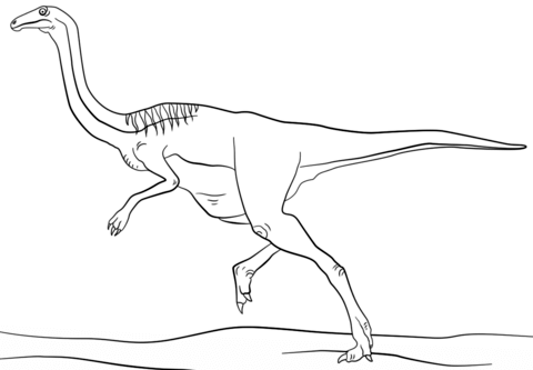 Jurassic Gallimimus Coloring Page